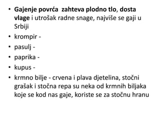 • Gajenje povrća zahteva plodno tlo, dosta
vlage i utrošak radne snage, najviše se gaji u
Srbiji
• krompir -
• pasulj -
• paprika -
• kupus -
• krmno bilje - crvena i plava djetelina, stočni
grašak i stočna repa su neka od krmnih biljaka
koje se kod nas gaje, koriste se za stočnu hranu
 