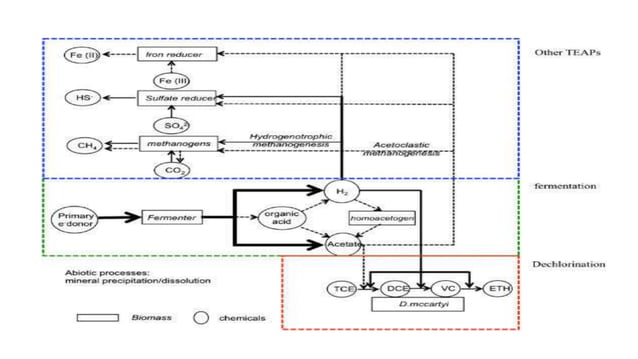 Dechlorination and it's type | PPTX