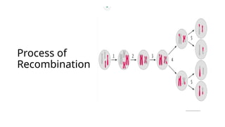 Priya Bharala.pptx (concept of recombination) | PPTX