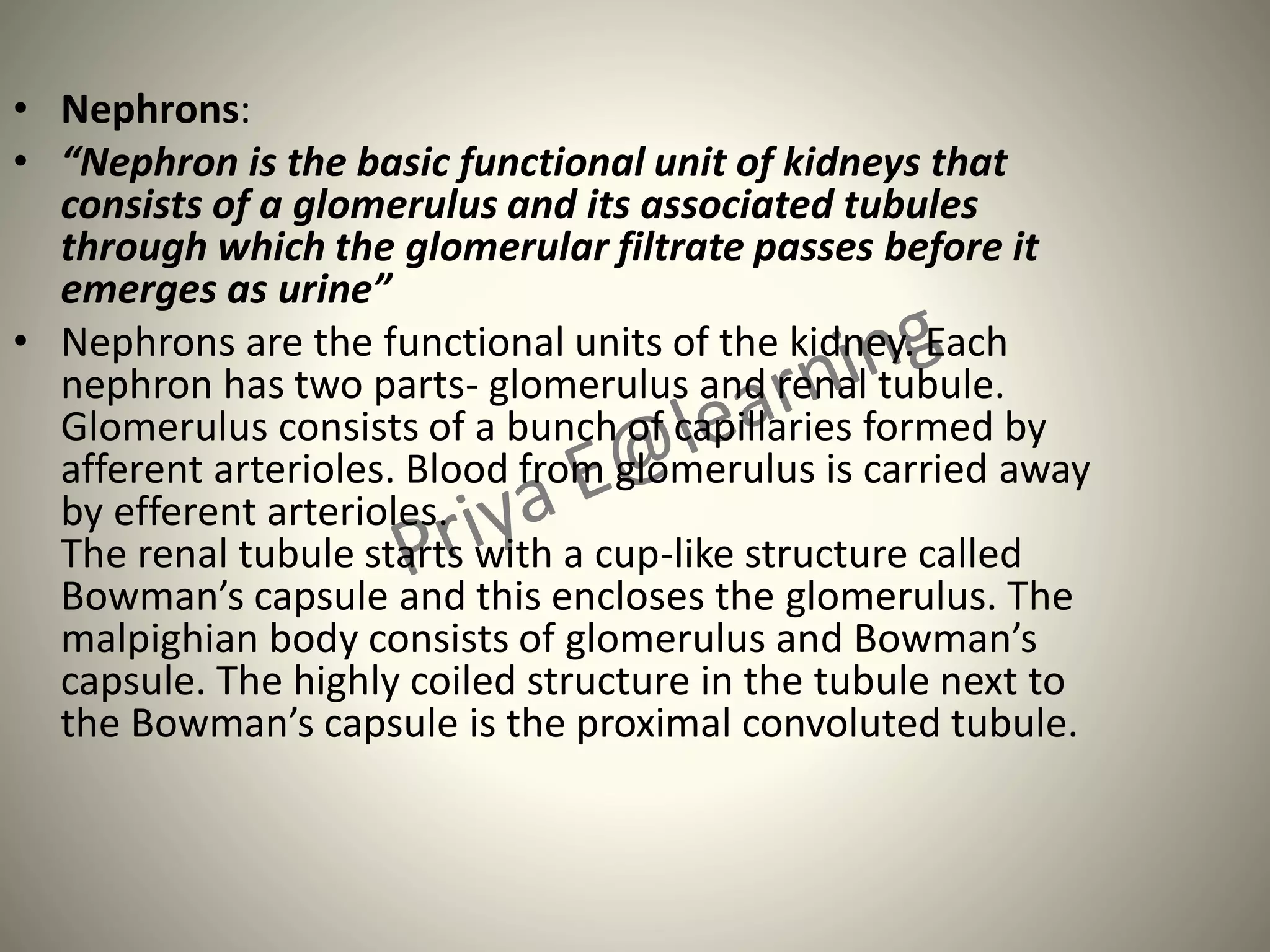 • Nephrons:
• “Nephron is the basic functional unit of kidneys that
consists of a glomerulus and its associated tubules
through which the glomerular filtrate passes before it
emerges as urine”
• Nephrons are the functional units of the kidney. Each
nephron has two parts- glomerulus and renal tubule.
Glomerulus consists of a bunch of capillaries formed by
afferent arterioles. Blood from glomerulus is carried away
by efferent arterioles.
The renal tubule starts with a cup-like structure called
Bowman’s capsule and this encloses the glomerulus. The
malpighian body consists of glomerulus and Bowman’s
capsule. The highly coiled structure in the tubule next to
the Bowman’s capsule is the proximal convoluted tubule.
 