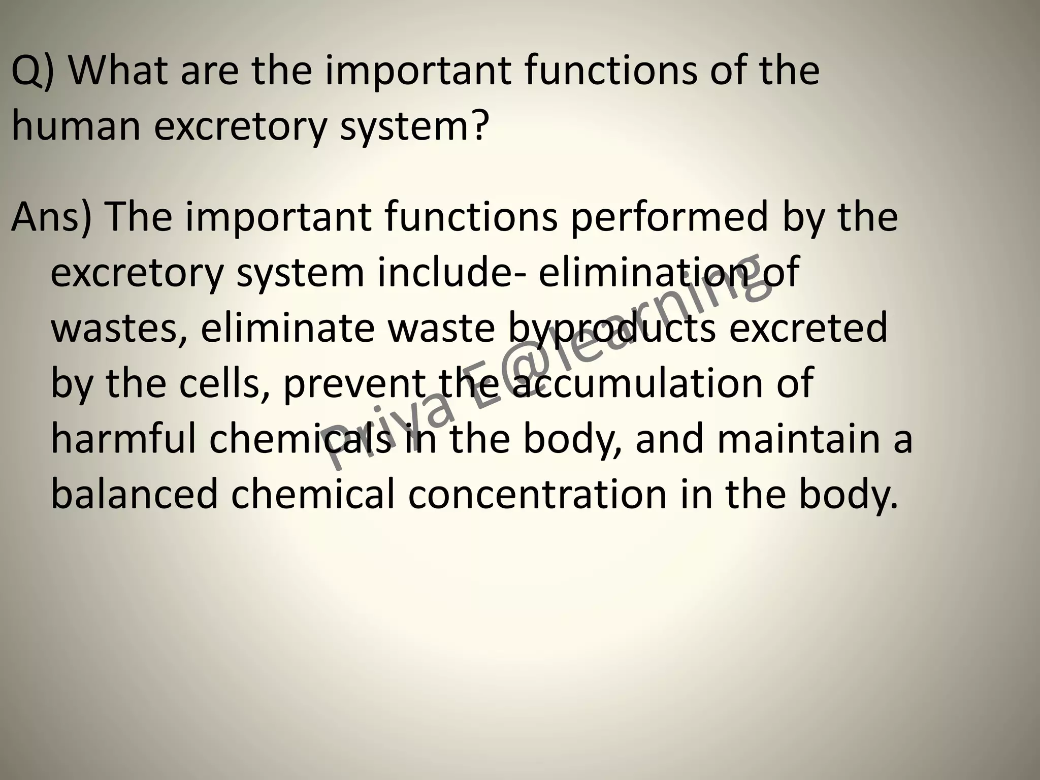 Q) What are the important functions of the
human excretory system?
Ans) The important functions performed by the
excretory system include- elimination of
wastes, eliminate waste byproducts excreted
by the cells, prevent the accumulation of
harmful chemicals in the body, and maintain a
balanced chemical concentration in the body.
 