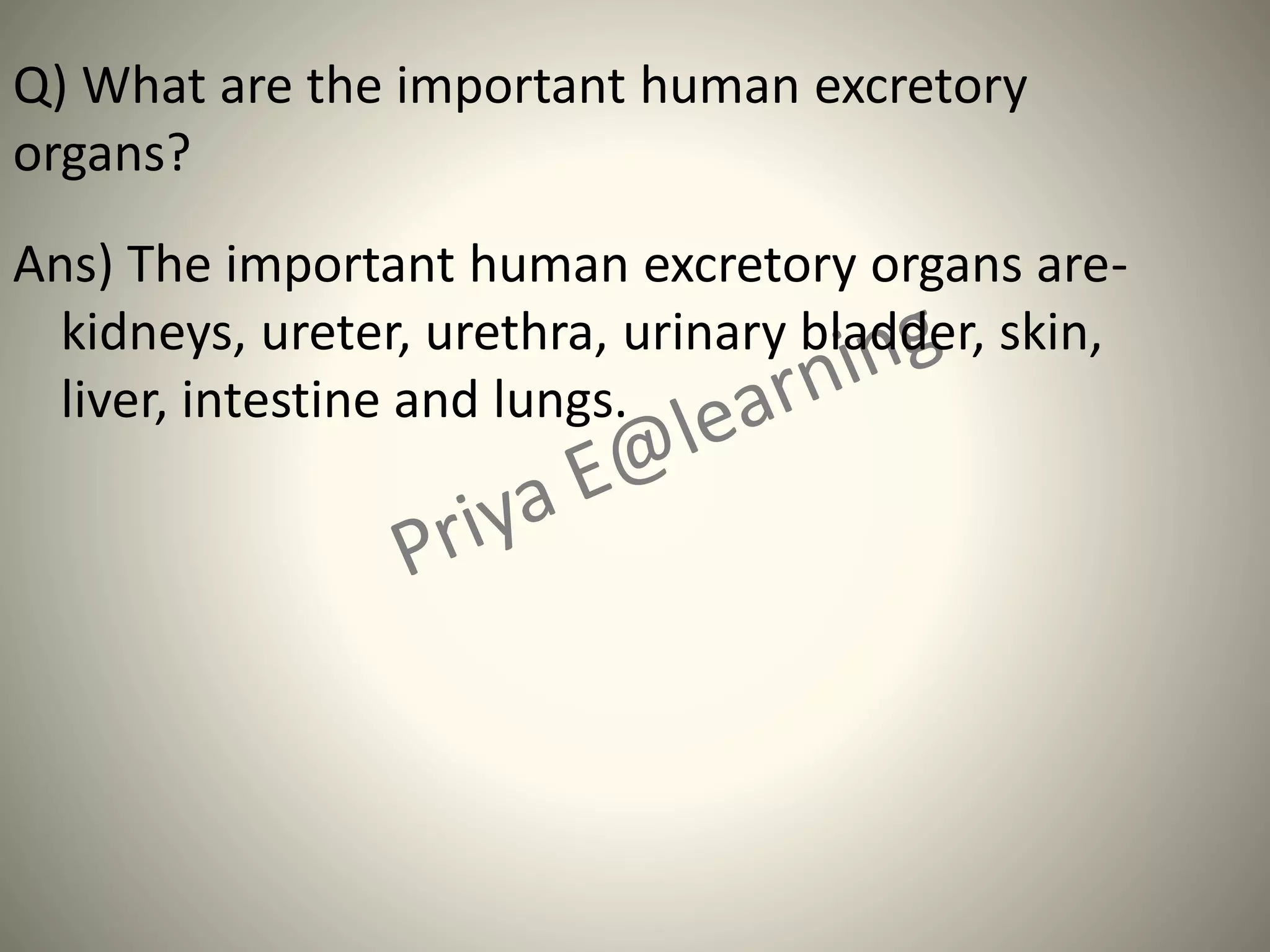 Q) What are the important human excretory
organs?
Ans) The important human excretory organs are-
kidneys, ureter, urethra, urinary bladder, skin,
liver, intestine and lungs.
 