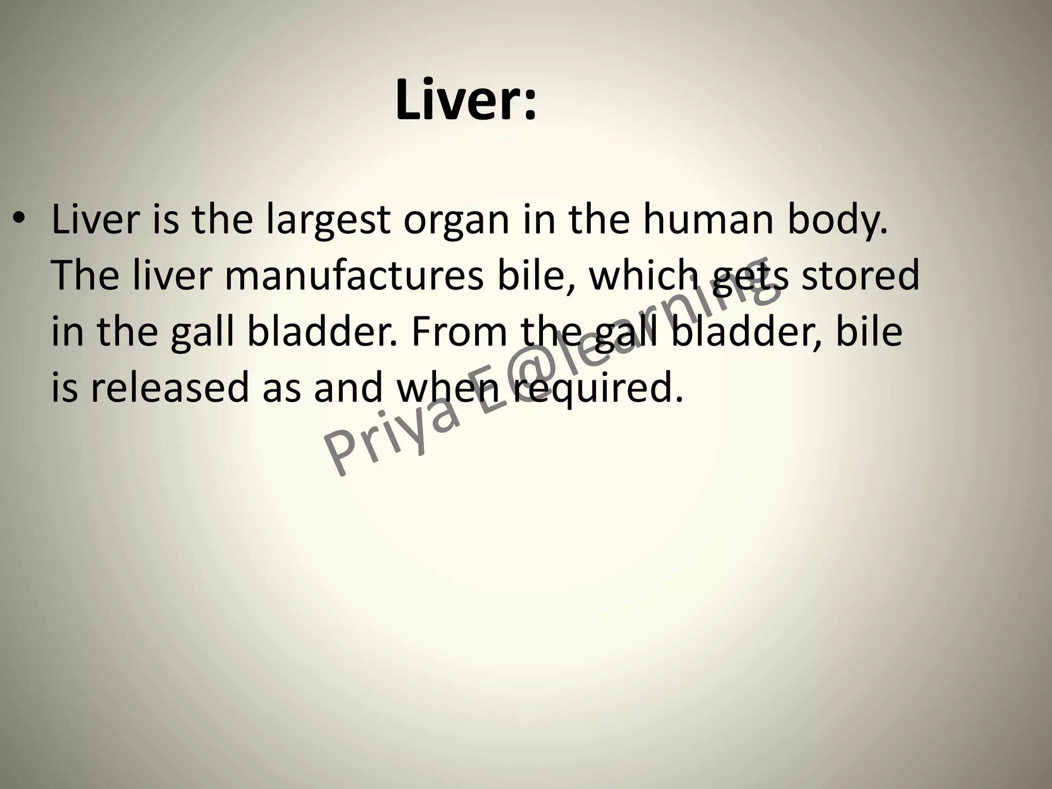 Liver:
• Liver is the largest organ in the human body.
The liver manufactures bile, which gets stored
in the gall bladder. From the gall bladder, bile
is released as and when required.
 