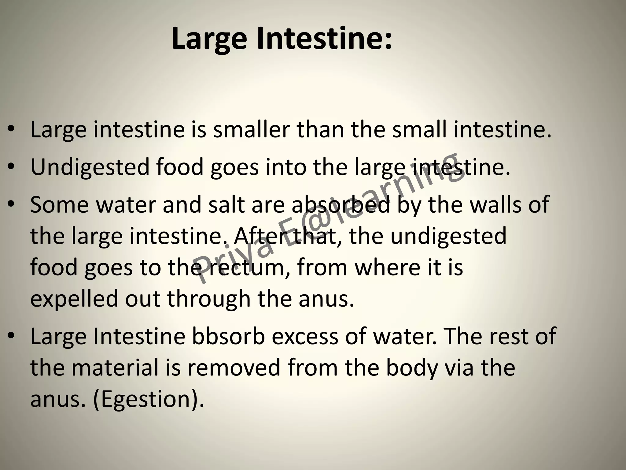 Large Intestine:
• Large intestine is smaller than the small intestine.
• Undigested food goes into the large intestine.
• Some water and salt are absorbed by the walls of
the large intestine. After that, the undigested
food goes to the rectum, from where it is
expelled out through the anus.
• Large Intestine bbsorb excess of water. The rest of
the material is removed from the body via the
anus. (Egestion).
 