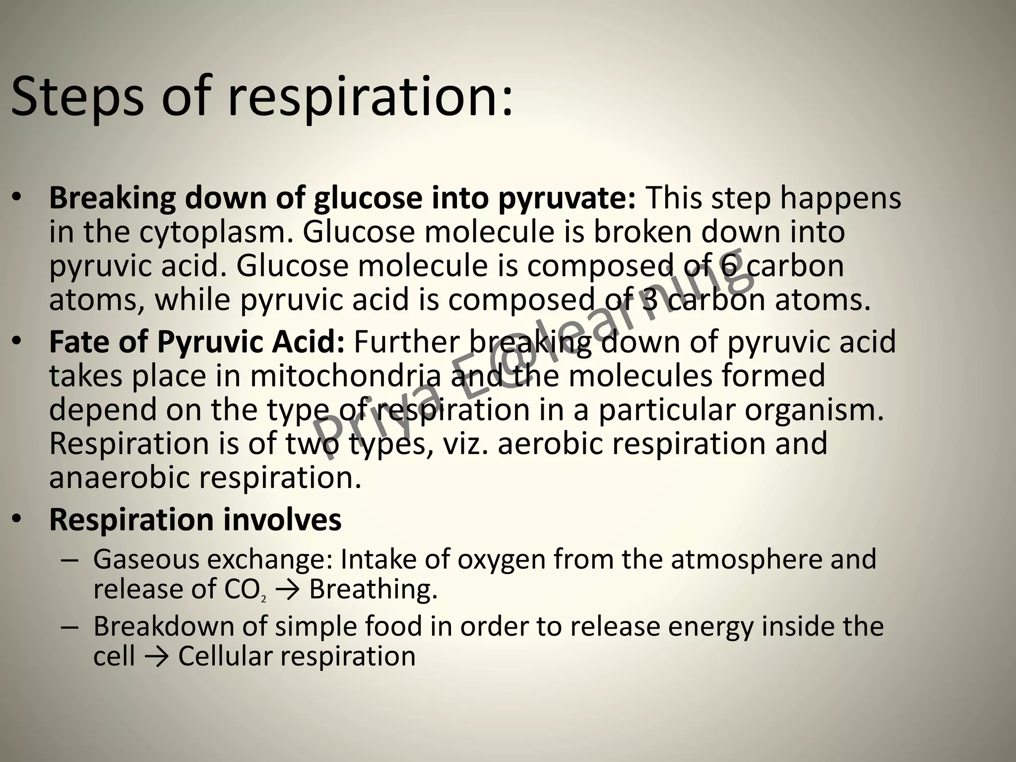 Steps of respiration:
• Breaking down of glucose into pyruvate: This step happens
in the cytoplasm. Glucose molecule is broken down into
pyruvic acid. Glucose molecule is composed of 6 carbon
atoms, while pyruvic acid is composed of 3 carbon atoms.
• Fate of Pyruvic Acid: Further breaking down of pyruvic acid
takes place in mitochondria and the molecules formed
depend on the type of respiration in a particular organism.
Respiration is of two types, viz. aerobic respiration and
anaerobic respiration.
• Respiration involves
– Gaseous exchange: Intake of oxygen from the atmosphere and
release of CO2 → Breathing.
– Breakdown of simple food in order to release energy inside the
cell → Cellular respiration
 