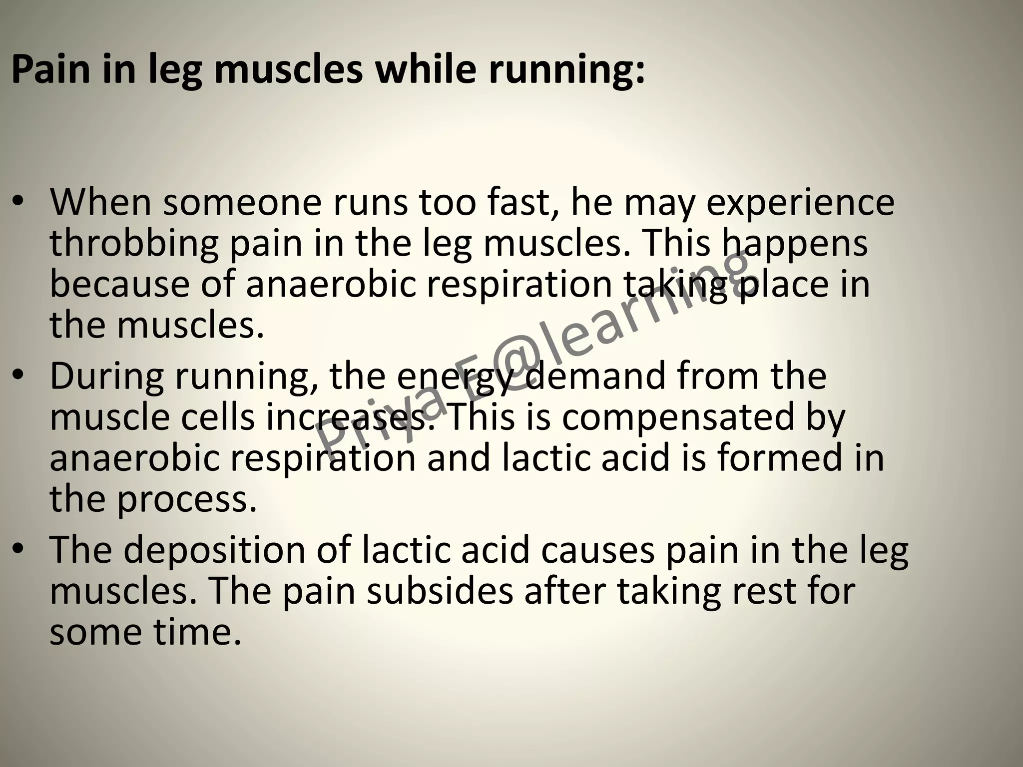 Pain in leg muscles while running:
• When someone runs too fast, he may experience
throbbing pain in the leg muscles. This happens
because of anaerobic respiration taking place in
the muscles.
• During running, the energy demand from the
muscle cells increases. This is compensated by
anaerobic respiration and lactic acid is formed in
the process.
• The deposition of lactic acid causes pain in the leg
muscles. The pain subsides after taking rest for
some time.
 