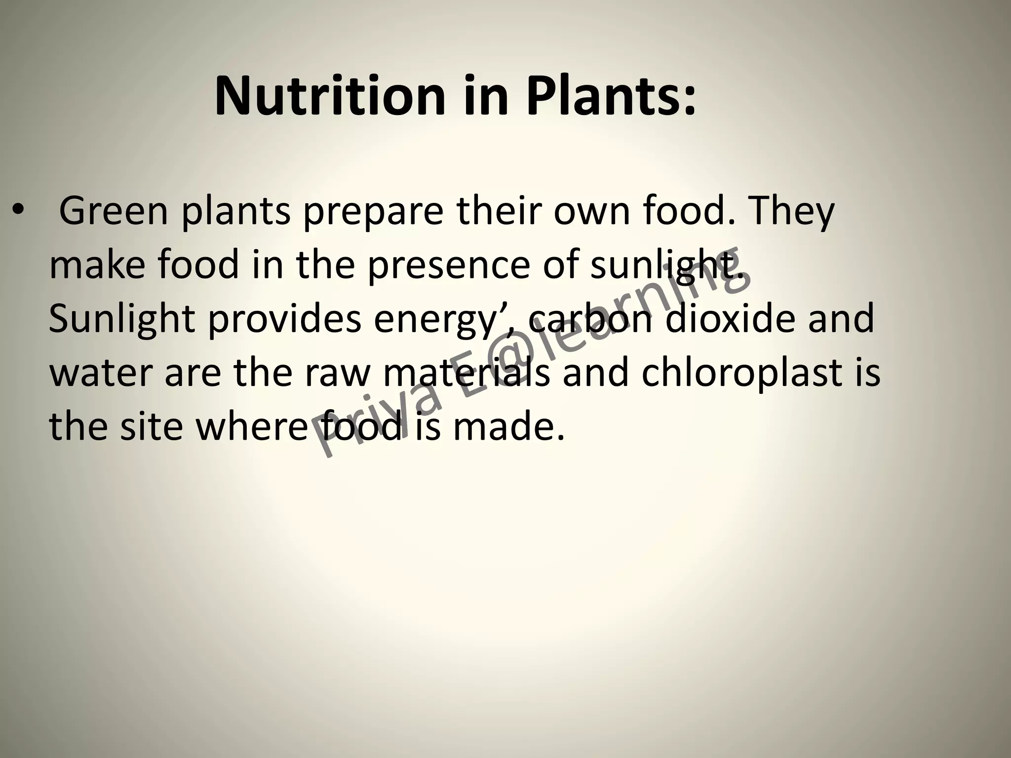 Nutrition in Plants:
• Green plants prepare their own food. They
make food in the presence of sunlight.
Sunlight provides energy’, carbon dioxide and
water are the raw materials and chloroplast is
the site where food is made.
 