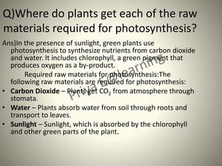PriyaE@learning 1006 | PPT