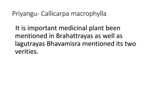 Priyangu- Callicarpa macrophylla 
It is important medicinal plant been 
mentioned in Brahattrayas as well as 
lagutrayas Bhavamisra mentioned its two 
verities. 
 