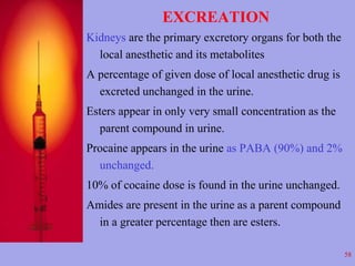 EXCREATION 
Kidneys are the primary excretory organs for both the 
local anesthetic and its metabolites 
A percentage of g...