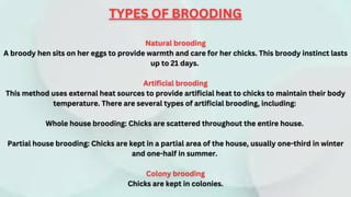 Incubation, Hatching| and Brooding. . | PDF