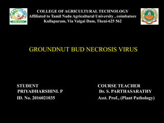 COLLEGE OF AGRICULTURAL TECHNOLOGY
Affiliated to Tamil Nadu Agricultural University , coimbatore
Kullapuram, Via Vaigai Dam, Theni-625 562
GROUNDNUT BUD NECROSIS VIRUS
STUDENT COURSE TEACHER
PRIYADHARSHINI. P Dr. S. PARTHASARATHY
ID. No. 2016021035 Asst. Prof., (Plant Pathology)
 