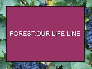 FOREST:OUR LIFE LINE
 