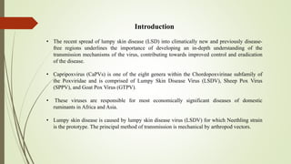 Lsd Computer Virus Pathology of lumpy skin disease virus.pptx
