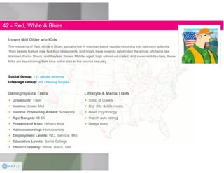 Claritas Prizm - Behavioral Customer Segmentation