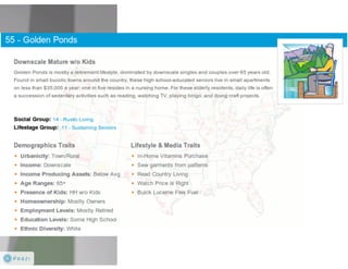 Claritas Prizm - Behavioral Customer Segmentation