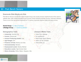 Claritas Prizm - Behavioral Customer Segmentation