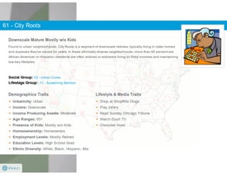 Claritas Prizm - Behavioral Customer Segmentation