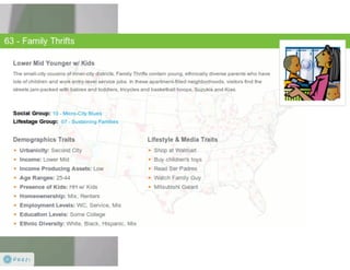 Claritas Prizm - Behavioral Customer Segmentation