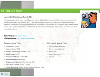 Claritas Prizm - Behavioral Customer Segmentation