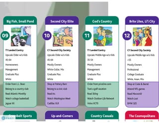 Claritas Prizm - Behavioral Customer Segmentation