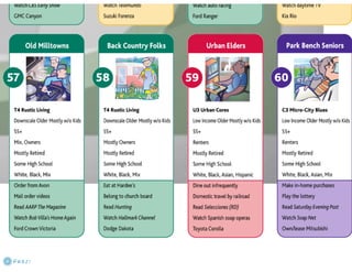 Claritas Prizm - Behavioral Customer Segmentation