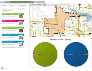 Claritas Prizm - Behavioral Customer Segmentation
