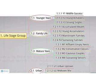 Claritas Prizm - Behavioral Customer Segmentation