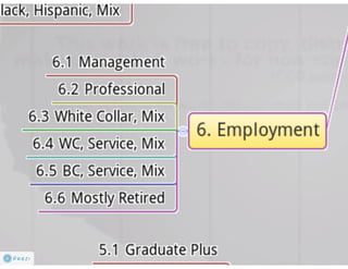 Claritas Prizm - Behavioral Customer Segmentation