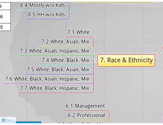 Claritas Prizm - Behavioral Customer Segmentation