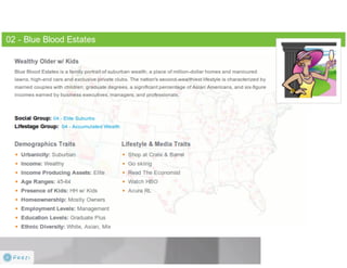 Claritas Prizm - Behavioral Customer Segmentation