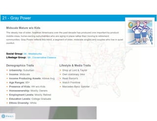 Claritas Prizm - Behavioral Customer Segmentation