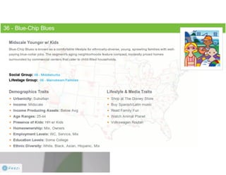 Claritas Prizm - Behavioral Customer Segmentation