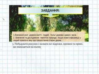 3. Побудувати рисунок і назвати всі відрізки, промені та прямі,
що знаходяться на ньому
 