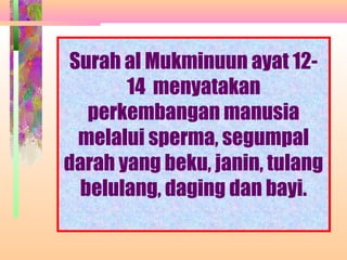 Surah al Mukminuun ayat 12-
       14 menyatakan
   perkembangan manusia
  melalui sperma, segumpal
darah yang beku, janin, tulang
  belulang, daging dan bayi.
 