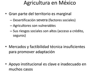 Agricultura en México
• Gran parte del territorio es marginal
– Desertificación severa (factores sociales)
– Agricultores son vulnerables
– Sus riesgos sociales son altos (acceso a crédito,
seguros)
• Mercados y factibilidad técnica insuficientes
para promover adaptación
• Apoyo institucional es clave e inadecuado en
muchos casos
 
