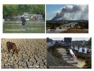 Floods/Inundaciones Wildfires/Incendios
Dislocación de infraestructuras costerasWater/agua
 