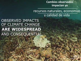 ARE WIDESPREAD
OBSERVED IMPACTS
OF CLIMATE CHANGE
AND CONSEQUENTIAL
recursos naturales, economías
y calidad de vida
Cambios observados
impactan ya
 