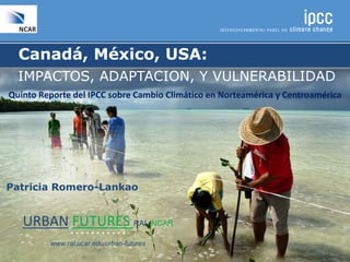 Quinto Reporte del IPCC sobre Cambio Climático en Norteamérica y Centroamérica
Canadá, México, USA:
IMPACTOS, ADAPTACION, Y VULNERABILIDAD
Patricia Romero-Lankao
URBAN FUTURES RAL-NCAR
* * * * * * * * * * *
www.ral.ucar.edu/urban-futures
 
