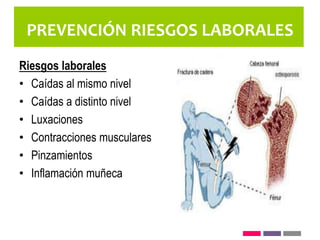 Riesgos laborales
• Caídas al mismo nivel
• Caídas a distinto nivel
• Luxaciones
• Contracciones musculares
• Pinzamientos
• Inflamación muñeca
PREVENCIÓN RIESGOS LABORALES
 