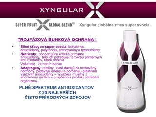 TROJFÁZOVÁ BUNKOVÁ OCHRANA  ! • Silné šťavy zo super ovocia : bohaté na antioxidanty, polyfenoly, antocyaníny a fytonutrienty • Nutrienty :  podporujúce kritické primárne antioxidanty,  telo ich potrebuje na tvorbu primárnych anti-oxidantov, ktoré chránia  Vaše telo  24 hodín denne • Adaptogény : rastliny, ktoré dávajú do rovnováhy hormóny, pridávajú energiu a pomáhajú efektívne využívať antioxidanty – vyvažujú imunitný a endokrinný systém – prispôsobia produkt potrebám organizmu PLNÉ SPEKTRUM ANTIOXIDANTOV  Z 20 NAJLEPŠÍCH ČISTO PRÍRODNÝCH ZDROJOV Xyngular globálna zmes super ovocia 