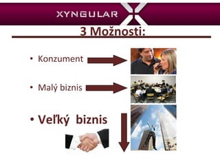 3 Možnosti: Konzument Ma l ý biznis Veľký  biznis 
