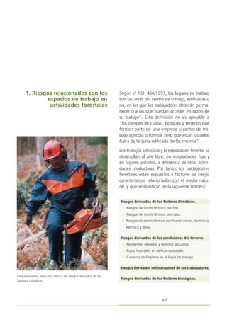 Trabajo forestal: Ropa anticorte o ropa especial para el manejo de