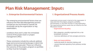 Project Risk management plan for Business Companies | PPTX