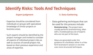 Expert Judgment Risk Technique Identify Project Risk and Mitigating Mechanisms | PPTX