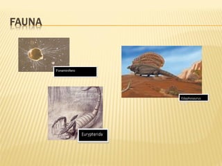 ForaminiferoForaminifero
Edaphosaurus
fero
Edaphosaurus
fero
 