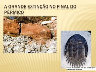 Fossil de trilobite, um dos seres vivos
extintos no Pérmico.
 