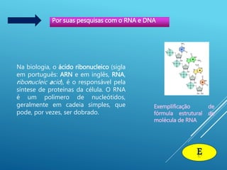 Por suas pesquisas com o RNA e DNA
Na biologia, o ácido ribonucleico (sigla
em português: ARN e em inglês, RNA,
ribonucleic acid), é o responsável pela
síntese de proteínas da célula. O RNA
é um polímero de nucleótidos,
geralmente em cadeia simples, que
pode, por vezes, ser dobrado.
Exemplificação de
fórmula estrutural de
molécula de RNA
E
 