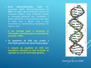  Ácido desoxirribonucleico (ADN, em
português: ácido desoxirribonucleico; ou
DNA, em inglês: deoxyribonucleic acid) é um
composto orgânico cujas moléculas contêm
as instruções genéticas que coordenam o
desenvolvimento e funcionamento de todos
os seres vivos e alguns vírus, e que
transmitem as características hereditárias de
cada ser vivo.
• O seu principal papel é armazenar as
informações necessárias para a construção das
proteínas e ARNs.
 Os segmentos de ADN que contêm a
informação genética são denominados genes.
• O restante da sequência de ADN tem
importância estrutural ou está envolvido na
regulação do uso da informação genética.
Estrutura de um ADN.
 