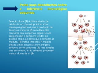 Pelas suas descobertas sobre
a tolerância imunológica
adquirida
Seleção clonal (1) A diferenciação de
células-tronco hematopoéticas sofre
rearranjos genéticos para a produção de
linfócitos imaturos (2) com diferentes
recetores para antígenos. Ligam-se aos
antígenos (3) e destroem tecidos do
próprio corpo, ao passo que o restante, já
maduro, (4) inativa linfócitos. A maioria
destes jamais encontrará um antígeno
exógeno correspondente (5), mas aqueles
que encontram, e são ativados, produzem
muitos clones de si. (6)
 
